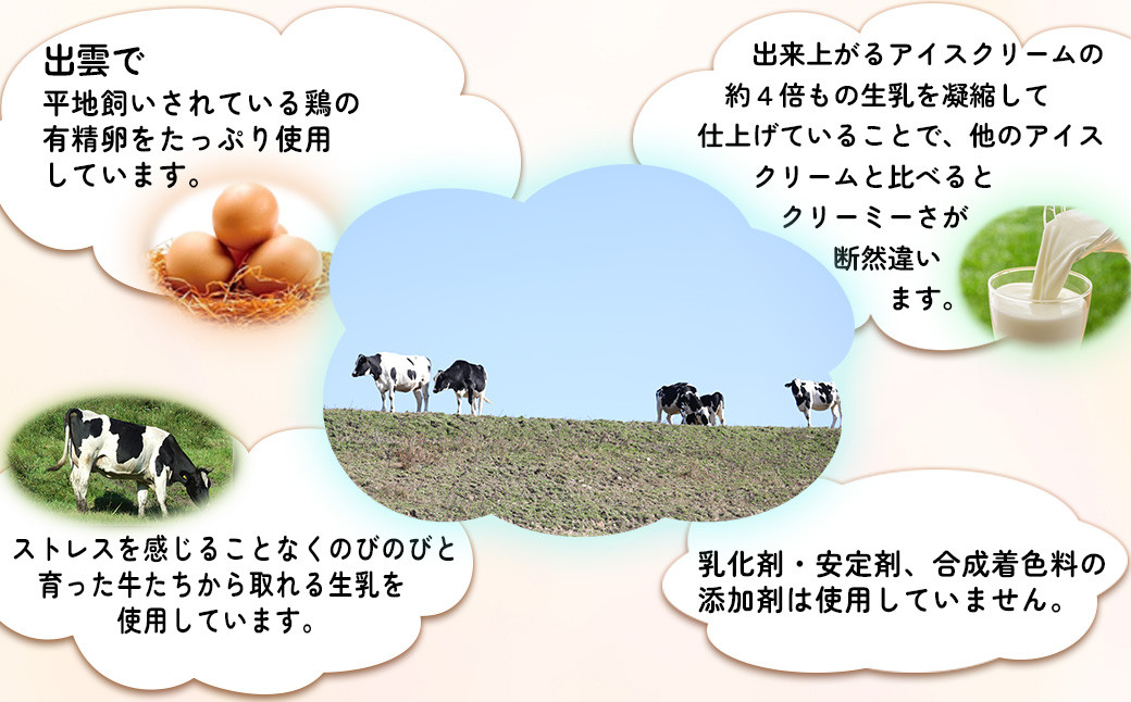 アイス アイスクリーム スイーツ デザート カップ 詰め合せ セット 島根 雲南