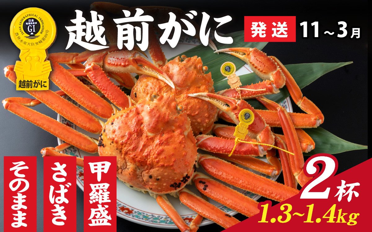 【成前特選】越前がに　選べる配送月、選べる調理法でお届けいたします。備考欄に希望月を記入してください。