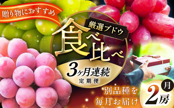 シャインマスカット マスカット ブドウ ぶどう 葡萄 人気 おすすめ 定期便