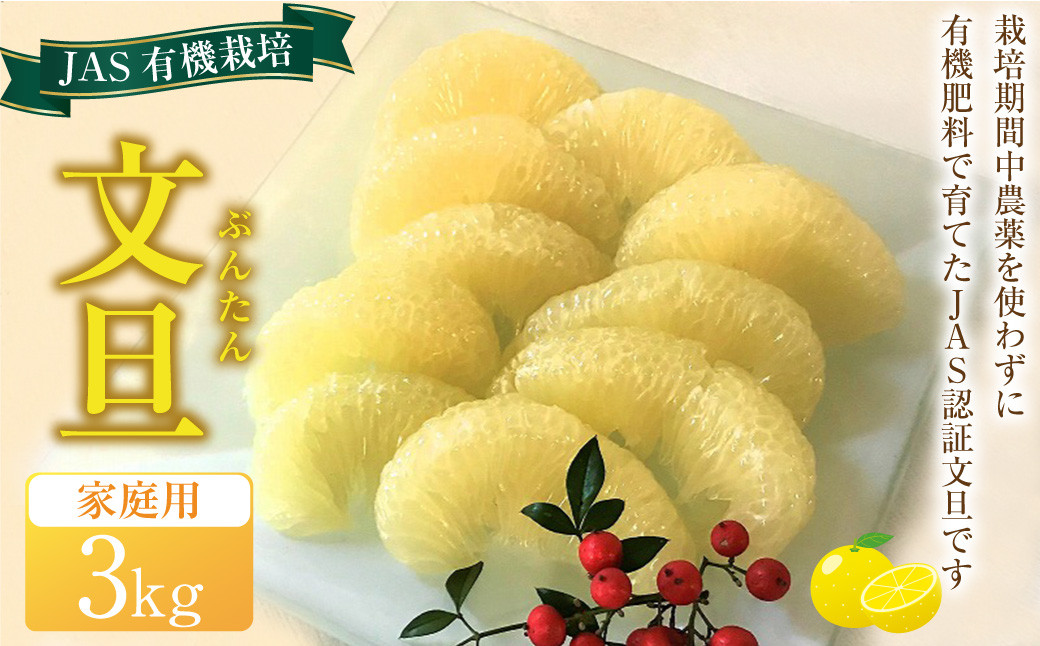 JAS 有機栽培 文旦 3kg 家庭用