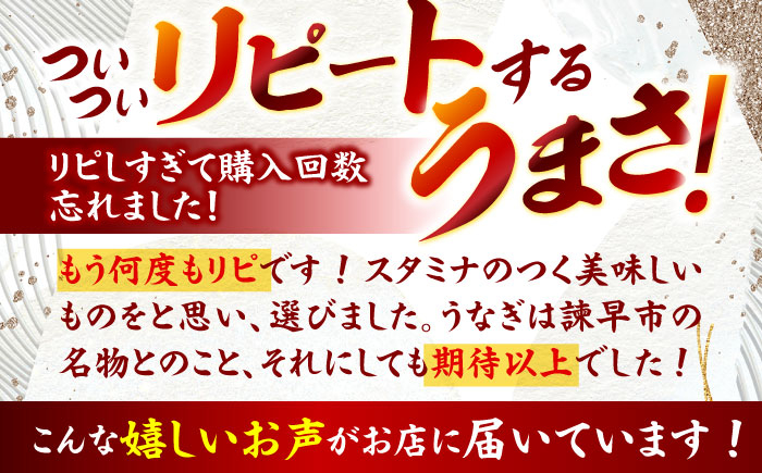 うなぎ白焼き10尾 うなぎ ウナギ 鰻 白焼き 白焼 しらやき 国産