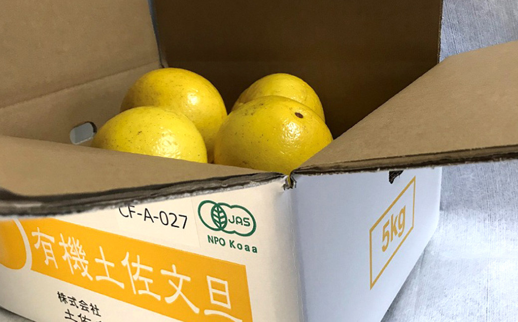 JAS 有機栽培 文旦 5kg 家庭用
