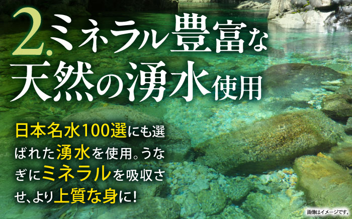 うなぎ白焼き4尾 うなぎ ウナギ 鰻 白焼き 白焼 しらやき 冷凍 国産 小分け