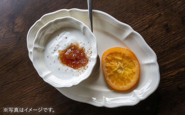 おしゃれ プレート 食器 皿 オーバルプレート 白 ホワイト お洒落 長皿 パスタ皿 アンティーク