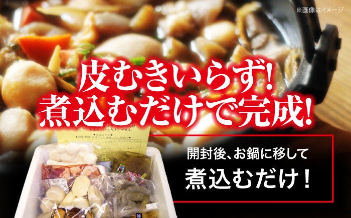 水郷大洲のいも炊きBセット