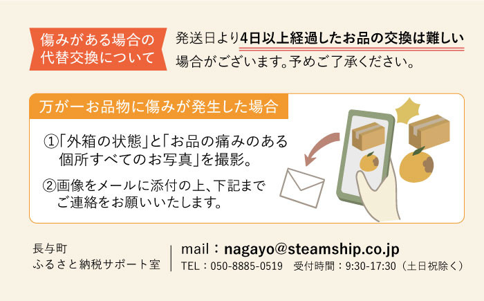 長崎県産 長与町 先行予約 大容量 フルーツ 果物 梨 なし 秋月 あきづき 大容量 お取り寄せ ナシ