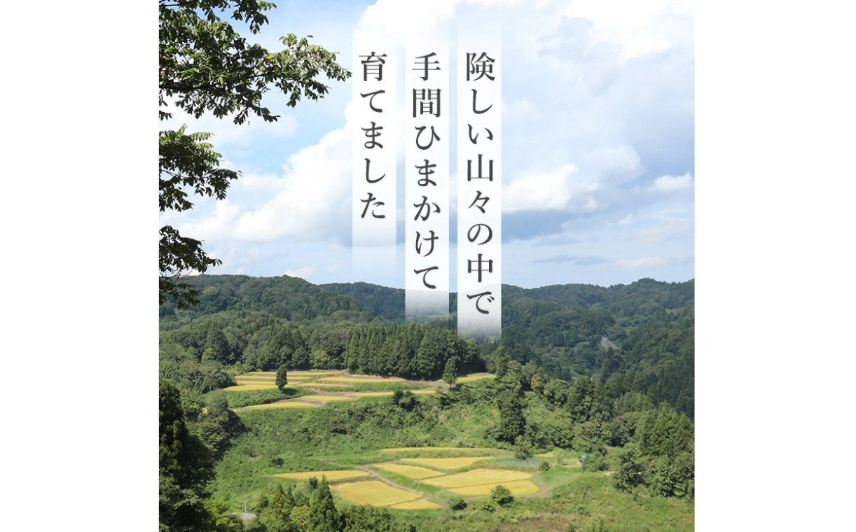 農薬・化学肥料を5割以下に抑えた安心の「特別栽培米」