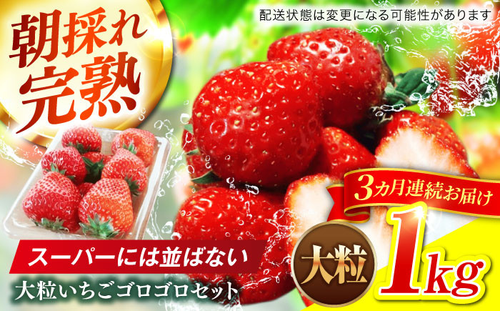 いちご イチゴ 苺 ストロベリー 果物 果実 フルーツ くだもの 岐阜県産 国産