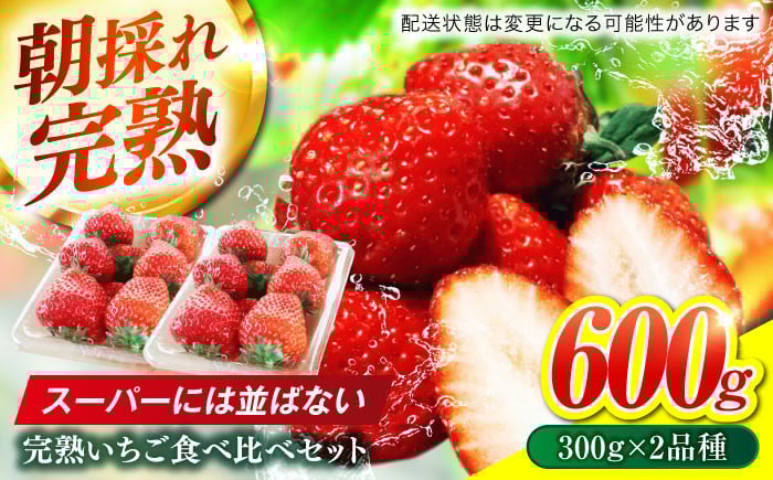 いちご イチゴ 苺 ストロベリー 果物 果実 フルーツ くだもの 岐阜県産 国産