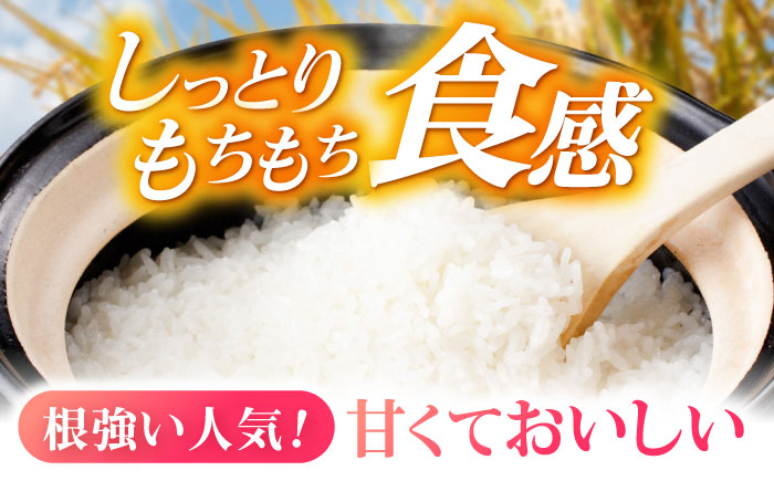 お米 米 おこめ こめ コメ 白米 精米 白ご飯 ひのひかり ヒノヒカリ 長崎県産 長崎県産米 国産 土井農場 10kg