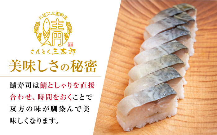さば寿司 三太郎の鯖寿司８切２本セット【冷凍】さば 鯖 サバ 鯖ずし 押し寿司 さば寿司 寿司