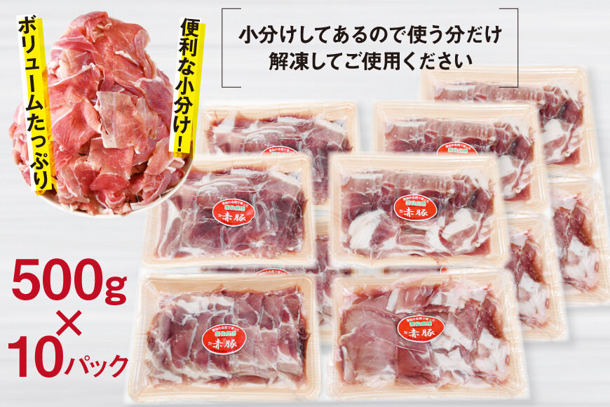 長崎県産 雲仙高原 赤豚 国産 豚ウデ 切り落とし 大容量 小分け しゃぶしゃぶ 豚 ブタ ぶた 肉