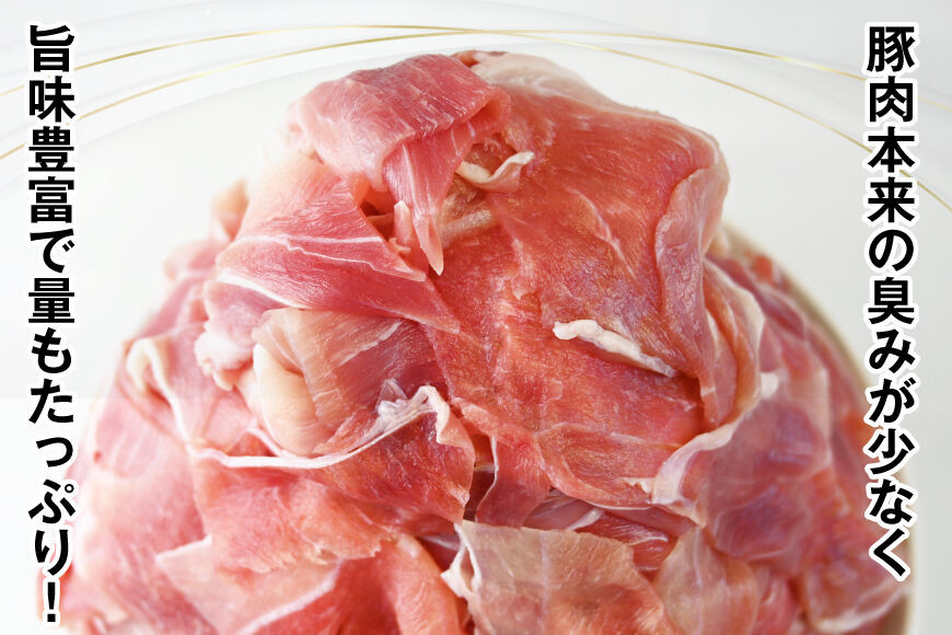 長崎県産 雲仙高原 赤豚 国産 豚ウデ 切り落とし 大容量 小分け しゃぶしゃぶ 豚 ブタ ぶた 肉