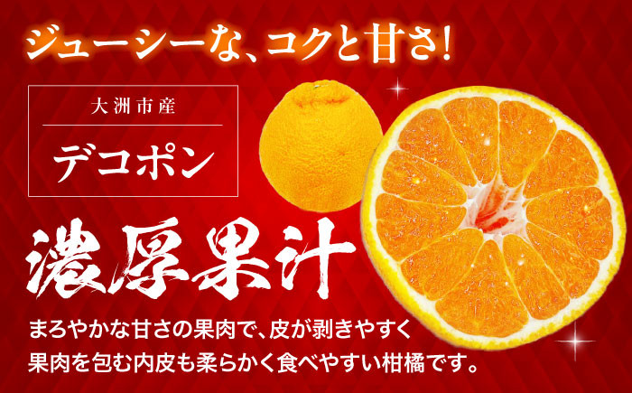 デコポンとグリーンキウイのセット