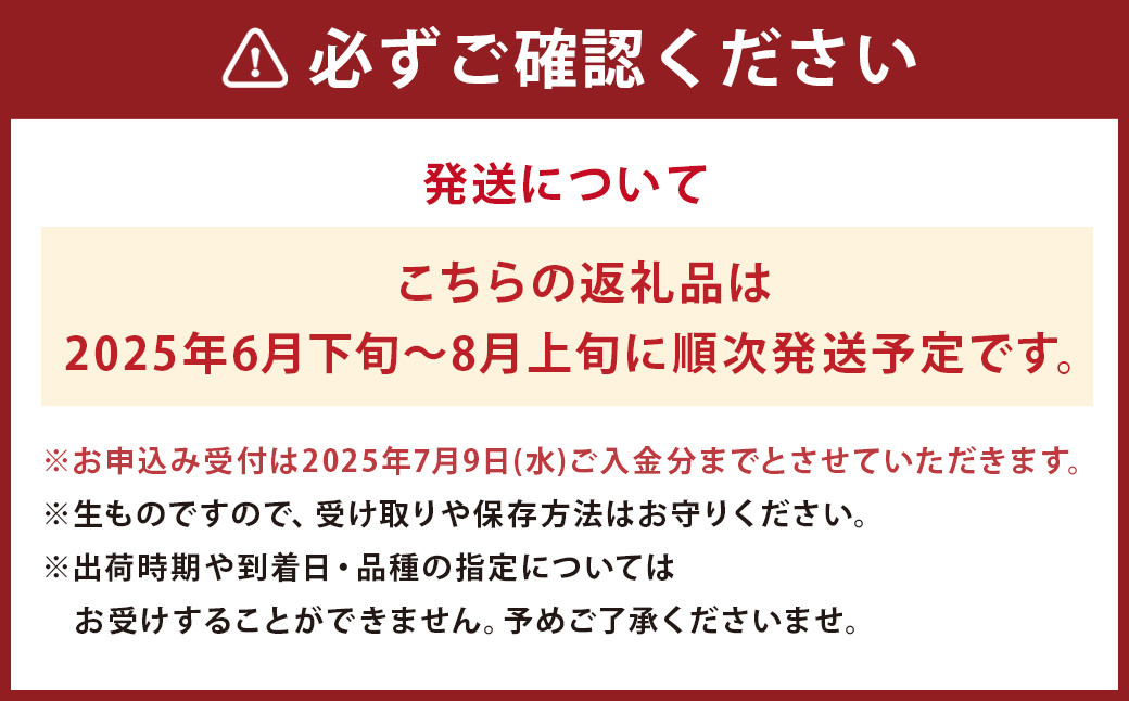 桃 約2kg 5～8玉 人吉球磨産