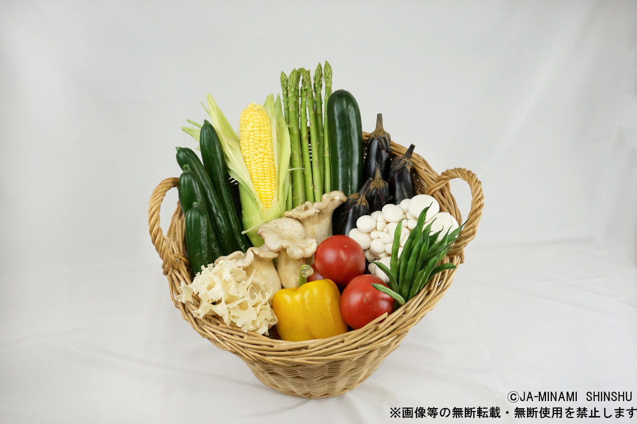 画像等の無断転載・無断使用を固く禁じます。