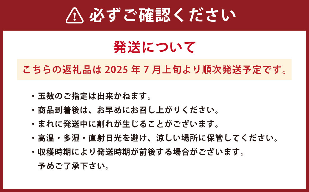 まごころ ミニトマト の 宝石箱 3.0kg (150玉前後) サンチェリーピュア
