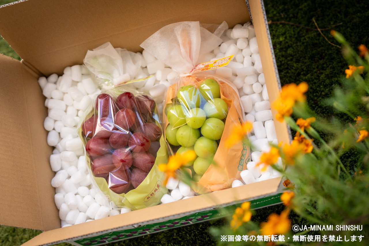 画像等の無断転載・無断使用を固く禁じます。