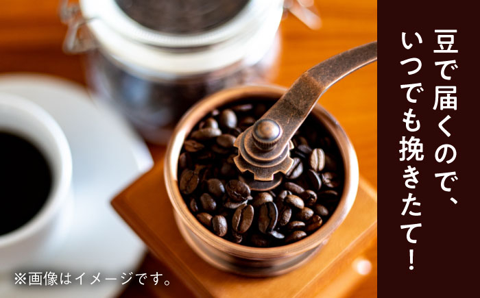 コーヒー粉 中細挽き 葉山 スペシャル 珈琲豆 アソートセット 3パック コーヒー 定期便