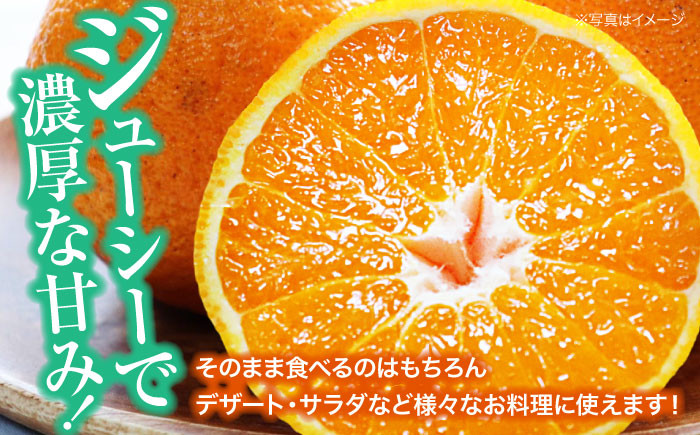 「デコポン」Lサイズ 8個