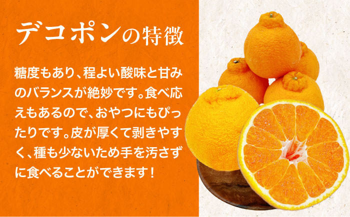 デコポンとグリーンキウイのセット