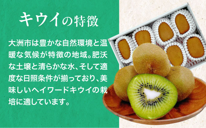 デコポンとグリーンキウイのセット