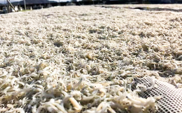 釜揚げ龍馬しらす 約250g×2パック【株式会社　七和】 [ATAX011]