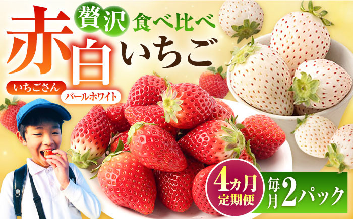 【1月発送開始！】赤いちご、白いちごが交互に楽しめる♪