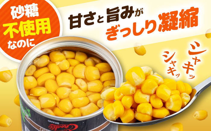 自然甘ホールコーン 24缶 コーン コーン缶 とうもろこし トウモロコシ 北海道 常温 常温配送 