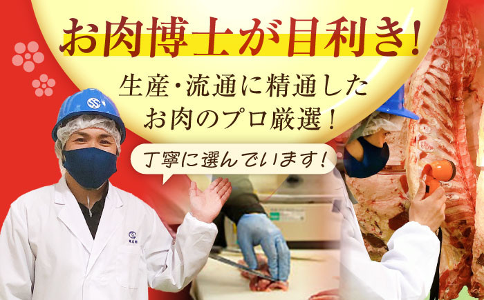 牛 牛肉 国産 赤身 焼肉 すき焼き しゃぶしゃぶ 料理 万能 冷凍 長崎県産 長崎
