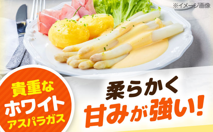 ホワイトアスパラガス 24缶 アスパラ アスパラガス ホワイトアスパラ 缶詰 缶 サラダ 北海道 常温 常温配送 