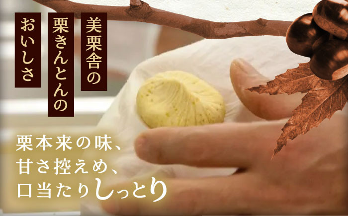 栗きんとん くりきんとん 柿 栗 岐阜 セット 手土産 和菓子 スイーツ お菓子 贈答 ギフト おすすめ 人気 岐阜県 恵那市