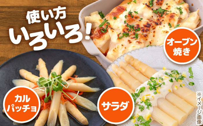ホワイトアスパラガス 12缶 アスパラ アスパラガス ホワイトアスパラ 缶詰 缶 サラダ 北海道 常温 常温配送 