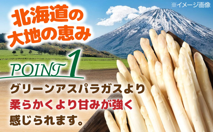 ホワイトアスパラガス 6缶 アスパラ アスパラガス ホワイトアスパラ 缶詰 缶 サラダ 北海道 常温 常温配送 
