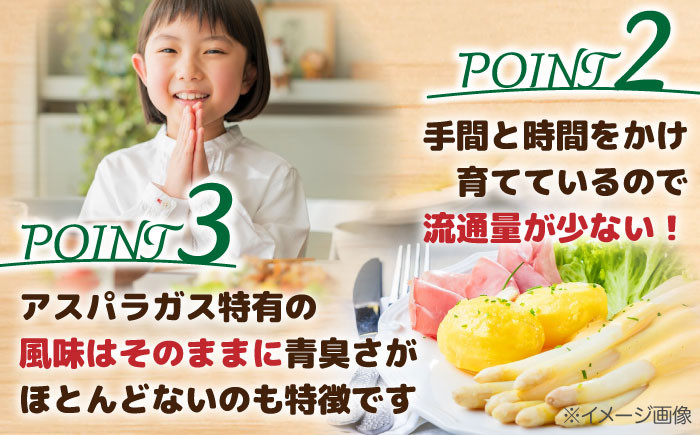 ホワイトアスパラガス 12缶 アスパラ アスパラガス ホワイトアスパラ 缶詰 缶 サラダ 北海道 常温 常温配送 