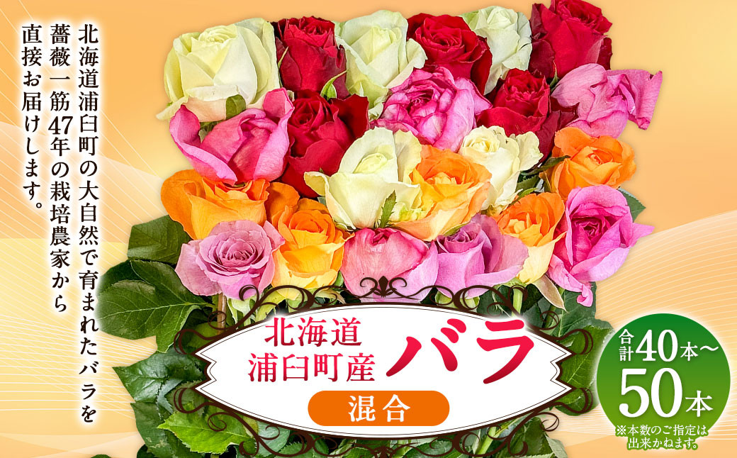 バラ 混合（40‐50本）