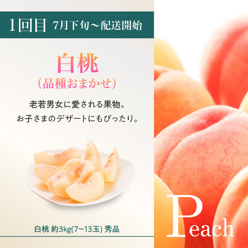 ≪先行受付≫ 山形豊作フルーツ人気Ａ【定期便全3回】