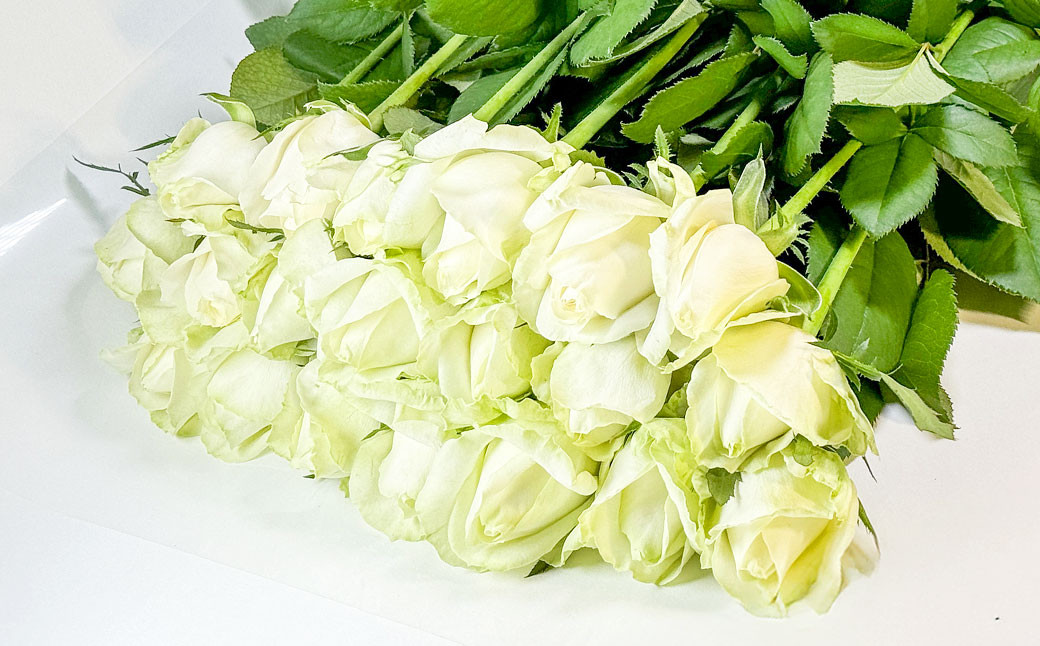 バラ アドバンス（白）（40‐50本）