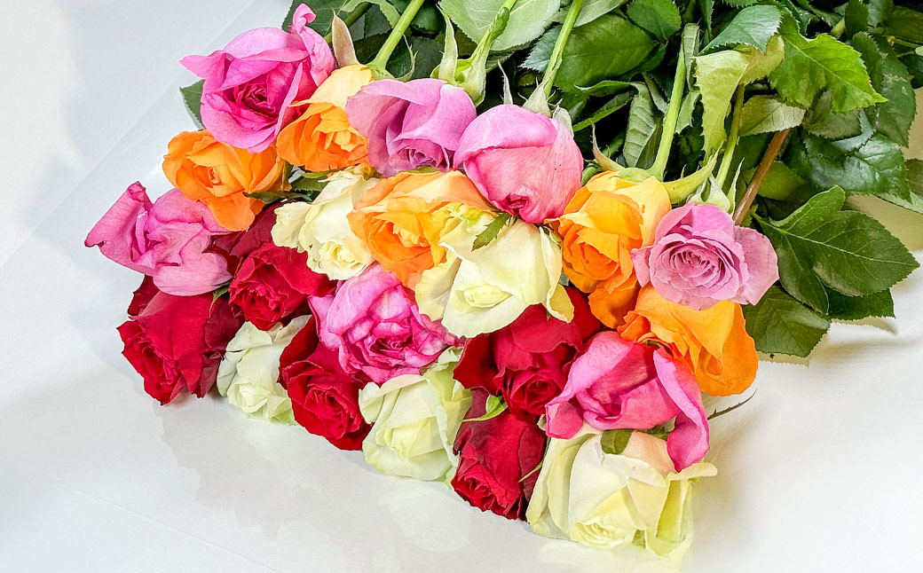 バラ 混合（40‐50本）