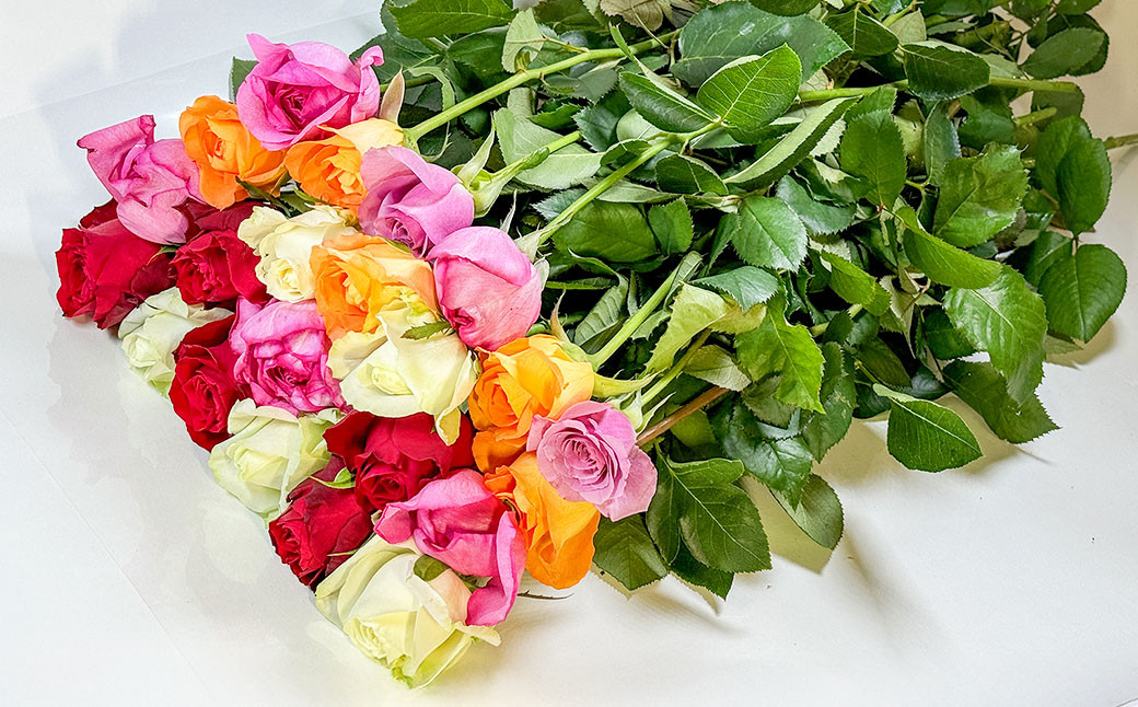 バラの花束 混合（20‐30本）