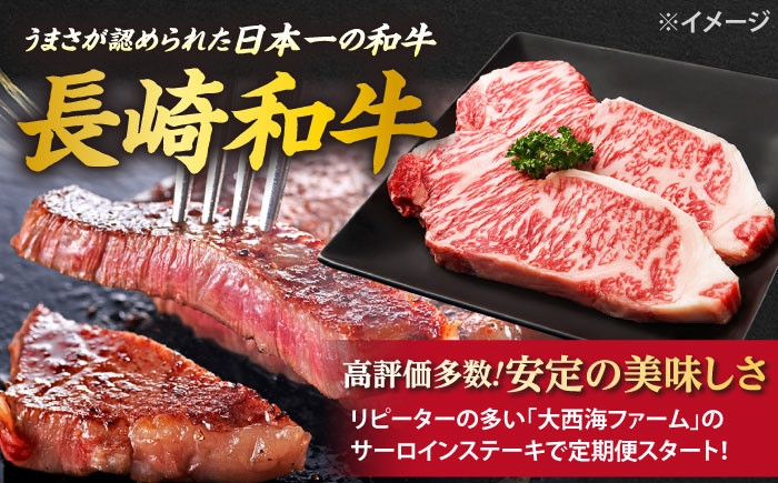 みかん サーロイン 定期便