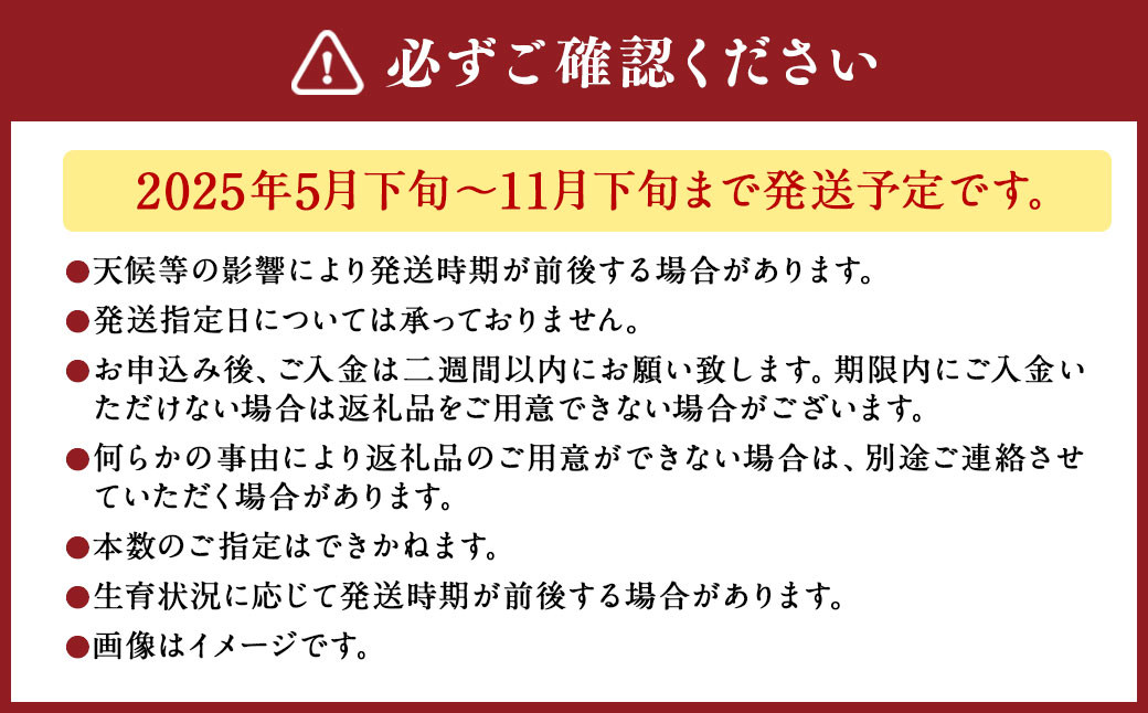 バラの花束 混合（40‐50本）