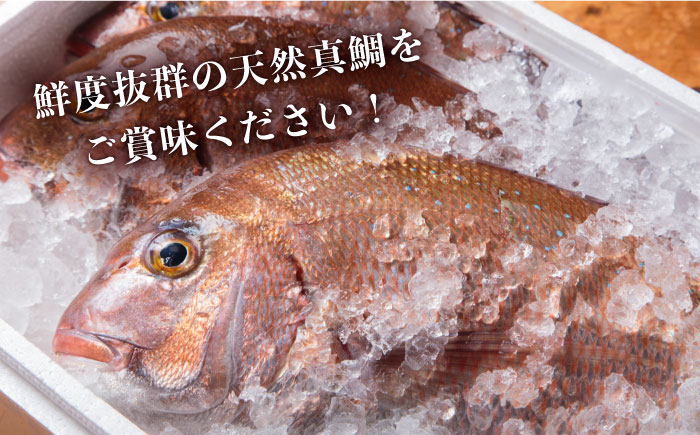 鯛茶漬け ギフト 壱岐真鯛 真鯛ダレ 夜食朝ごはん 旅館亭主人気 お茶漬けセット