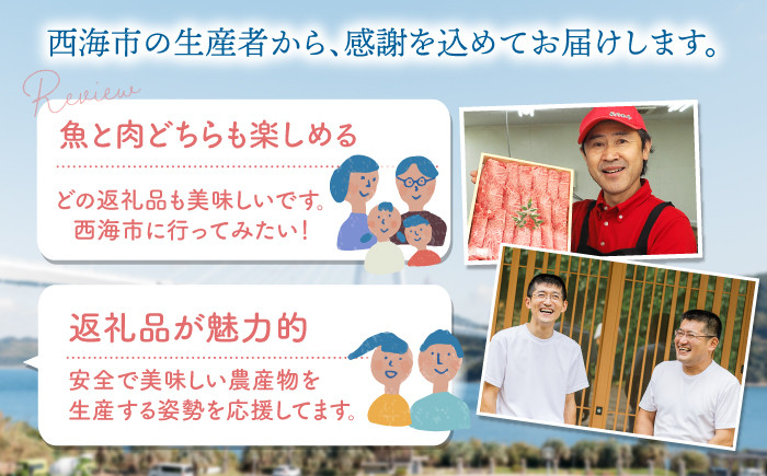 和牛 国産豚 こま切れ サーロイン ステーキ 鰻 うなぎ 定期便