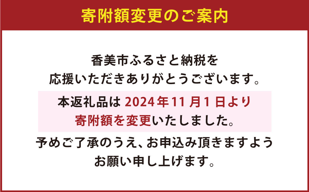TOSACOの 定番 12本 セット