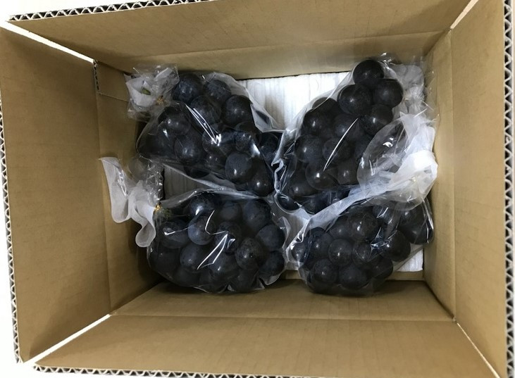 繭玉の緩衝材を入れ、安全に配送できるよう丁寧に梱包します。※写真はイメージです。