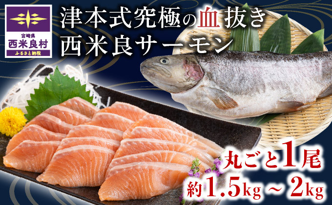 刺身、カルパッチョ、マリネ、塩焼き、ホイル焼き、西京焼きなど様々な料理で楽しめます。