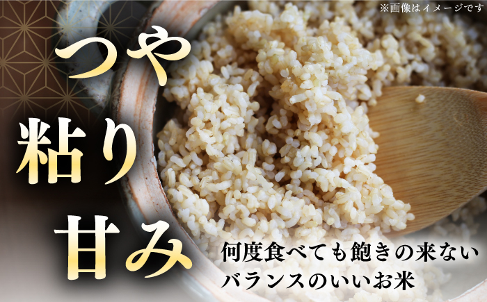 玄米 お米 ななつぼし ブランド米 特A ご飯 30kg 北海道