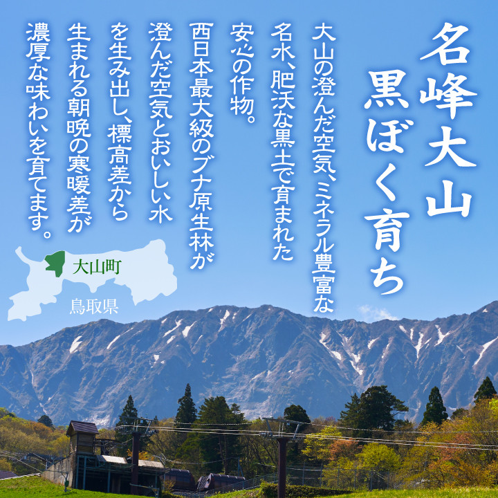 頒布会（大山町産こしひかり【大山の一粒】白米5ｋｇ×６回）