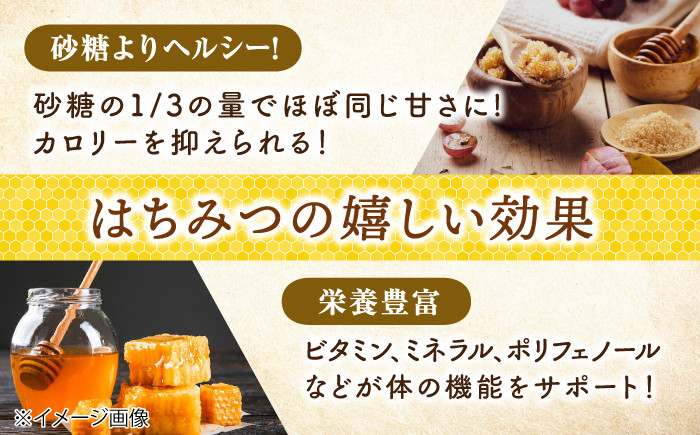 ふるさと納税 はちみつ 蜂蜜 ハチミツ 国産はちみつ 高級 上質 高品質 純粋